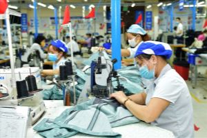 Experts comment on Vietnam’s economic recovery