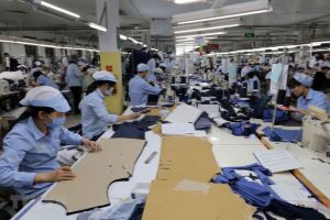 Vietnam continues successful economic story: Credendo