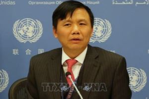 Vietnam’s development experience shared at UN session