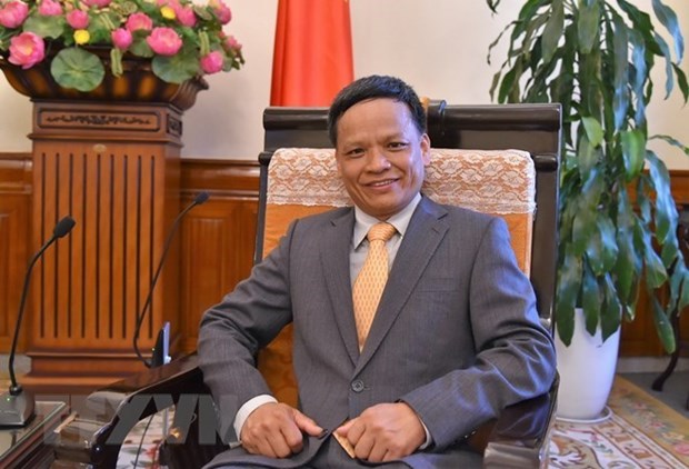 Ambassador Nguyen Hong Thao (Photo: VNA)