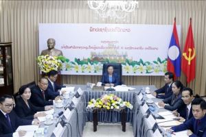 Outcomes of Lao People’s Revolutionary Party's 11th National Congress informed to Vietnam