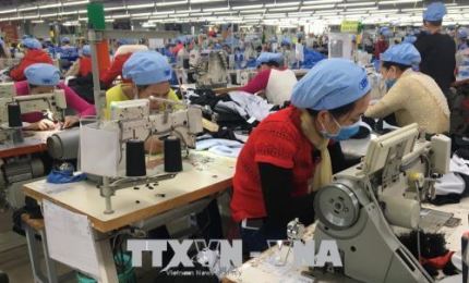 Vietnam’s exports to Hungary increases over 120%