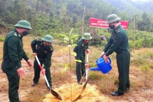 Da Nang border guard plants 1,600 trees in response of Government’s program