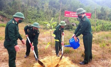 Da Nang border guard plants 1,600 trees in response of Government’s program