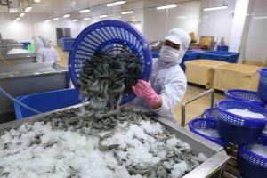 Bright outlook for aquatic product exports in 2021