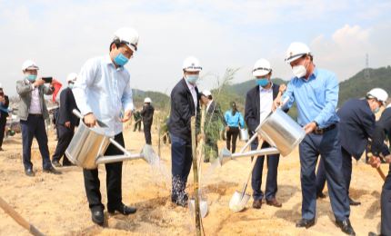 Northern city launches Tet tree-planting festival