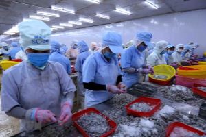 January seafood exports post 600 million USD