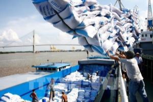 Rice exports expected to prosper again in 2021