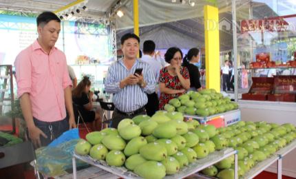 Building “golden brands” for agricultural products in Ho Chi Minh City