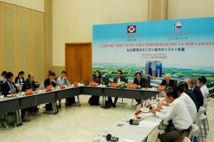 Binh Duong calls for investment from Japan
