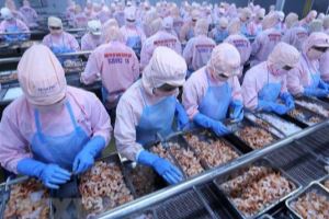 Vietnam to become world’s top shrimp producers