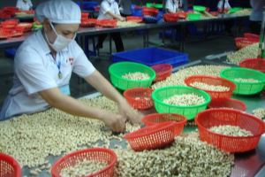 Vietnam – UAE trade turnover rises sharply in first two months
