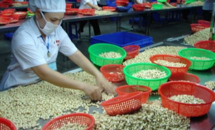 Vietnam – UAE trade turnover rises sharply in first two months