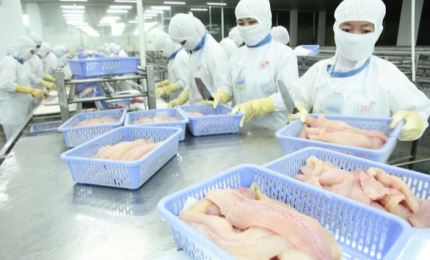 China increases imports of Vietnamese seafood