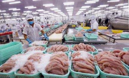 Vietnam aims to be among world’s top fishery exporting countries by 2045