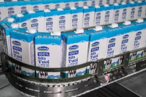 ​More Vietnamese dairy firms granted transaction code to China
