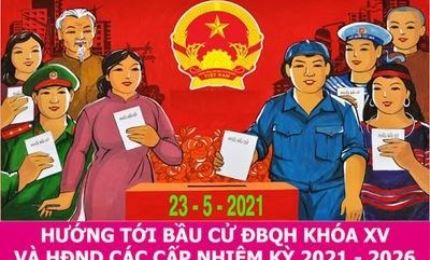 Quiz promotes knowledge on regulations on NA, People’s Councils elections