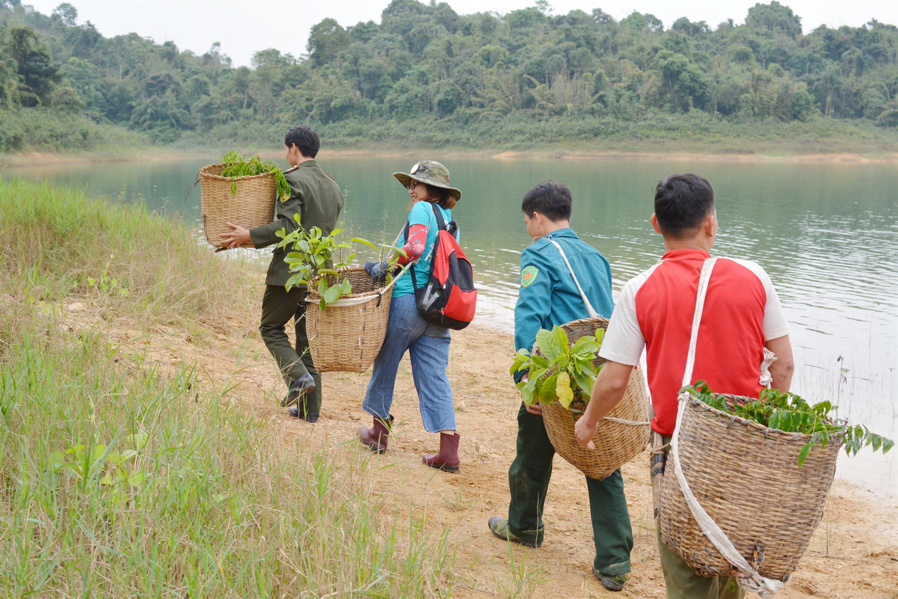 Seedlings carried out to forest plantation sites (Photo: Gaia)