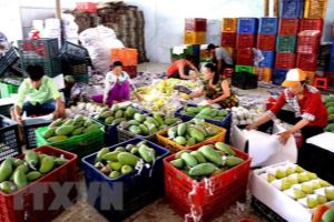 Vietnam aims to earn 10 billion USD from fruit, vegetable exports by 2030