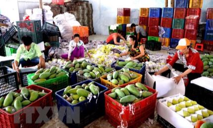 Vietnam aims to earn 10 billion USD from fruit, vegetable exports by 2030