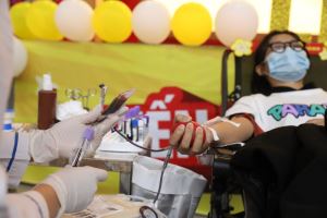 Humanitarian significance of blood donation promoted