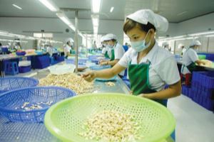 US ranks first among Vietnam’s largest agro-forestry-fishery importers