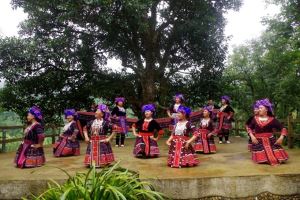Festival promotes cultural identity of Mong ethnic group