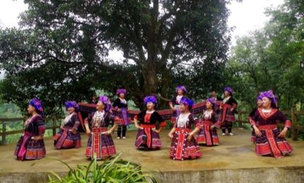 Festival promotes cultural identity of Mong ethnic group