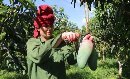 Agro-forestry-fisheries enjoy trade surplus of 1.37 billion USD in two months