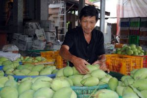 Vietnam strives to earn 650 million USD from mango export by 2030