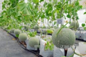 Project on developing the agricultural biotechnology industry to 2030