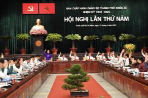 11th-term HCMC Party Executive Committee held 5th plenary session