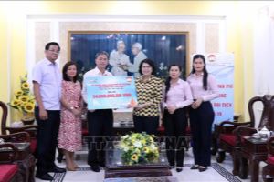 Ho Chi Minh City receives over 34 billion VND to buy COVID-19 vaccine