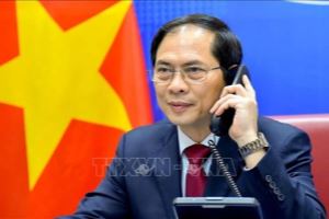 FM Bui Thanh Son holds phone talk with Chinese counterpart