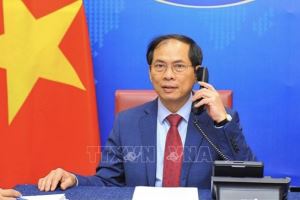 Vietnamese, Singaporean Foreign Ministers hold phone talks