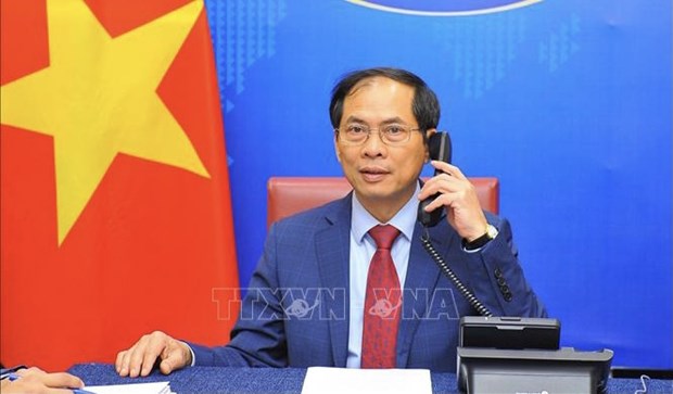 Foreign Minister Bui Thanh Son (Photo: VNA)