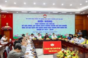 Hanoi, HCM City approve lists of candidates in upcoming elections
