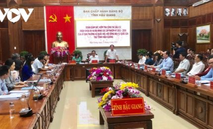 Preparations for national election in Hau Giang province inspected