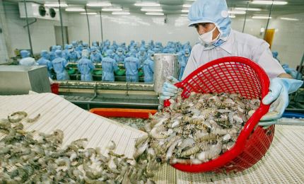 Country earns 1.64 billion USD from aquatic product exports