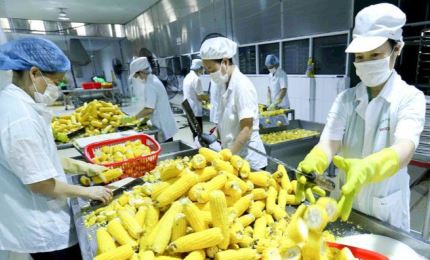 Country bags over 10 billion USD from agricultural, forestry and fishery exports