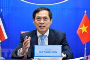 FM Bui Thanh Son holds online talks with Costa Rican Minister of Foreign Affairs Worship Rodolfo Solano Quirós