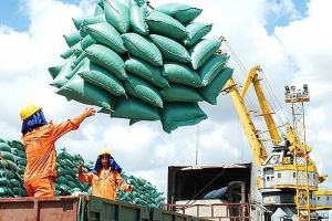 Philippines is biggest export market for Vietnamese rice