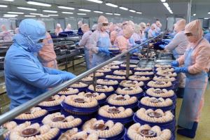 Vietnamese seafood seizes opportunities from FTA