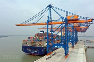 Container cargo to see double-digit growth in 2021