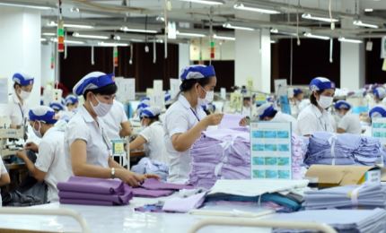 Vietnamese market remains attractive to Austrian firms