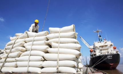 Rice industry needs proper trademark strategy boost exports to UK